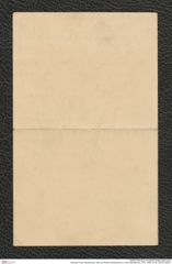 Nachlass Franz Steindachner, Brief von Robert Wiedersheim an Franz Steindachner (15.01.1890), Inv.Nr. 593.03, Seite 4